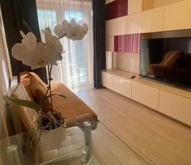 Oradea Apartment | Central Modern Apartment