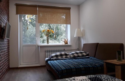 Veliky Novgorod Apartment | Central Park Apartment