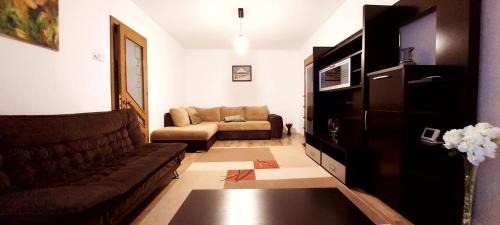 Piatra Neamt Apartment | Central Park Apartments