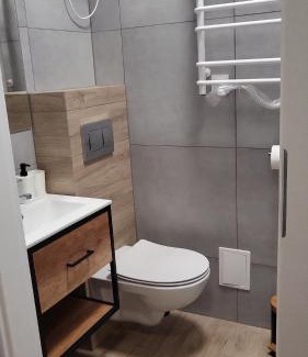 Rybnik Apartment | Central Platinum Apartments