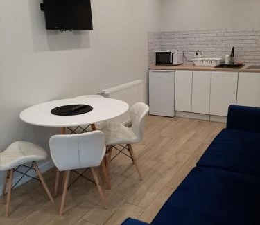 Rybnik Apartment | Central Platinum Apartments 24