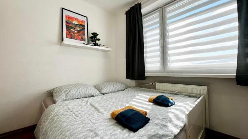 Radvan Apartment | Central Suites Bystrica 2 I 24hr Self Check-in l Free Wi-Fi & Parking