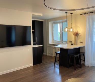 Panevezys county Apartment | Centro apartamentai