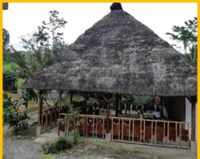 Tena Other | Centro Turismo Comunitario Machakuyaku