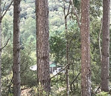 Sao Bento do Sul Other | Chácara no bosque