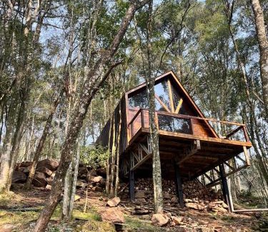 Garibaldi Ski Chalet | Chalé Araucária