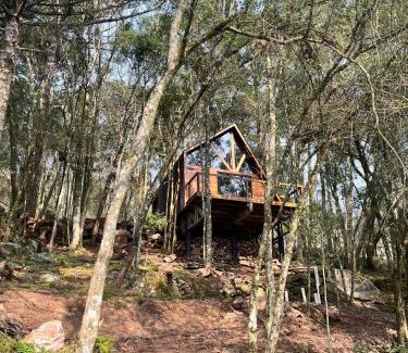 Garibaldi Ski Chalet | Chalé Araucária