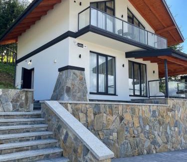Bukovel Ski Chalet | Chalet 348