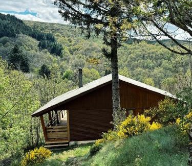 Dourbies Ski Chalet | Chalet de Dourbies