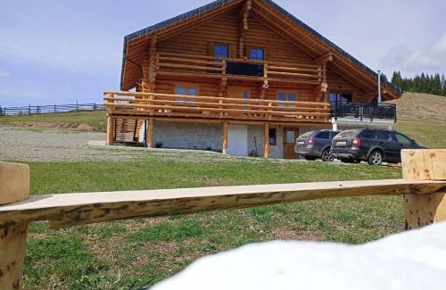 Saru Dornei Ski Chalet | Chalet Gabriela