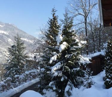 La Perriere Ski Chalet | Chalet Greystone