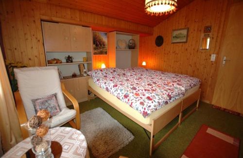 Wilderswil House | Chalet in Wilderswil with Jungfrau Views