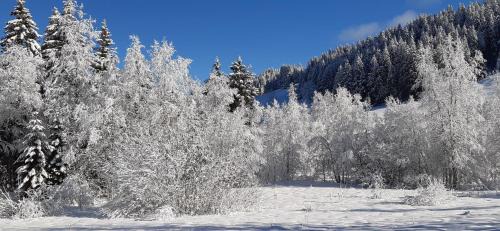 Lamoura Ski Chalet | CHALET LES EPILOBES
