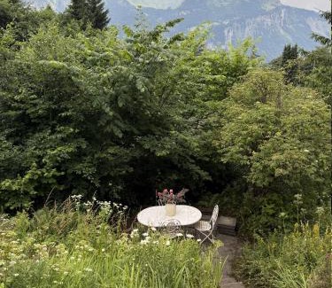 Bruenig Ski Chalet | Chalet Montana mit Bergblick