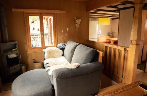 Bruenig Ski Chalet | Chalet Montana mit Bergblick