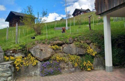 Grindelwald Apartment | Chalet Pfyffer - Mountain view
