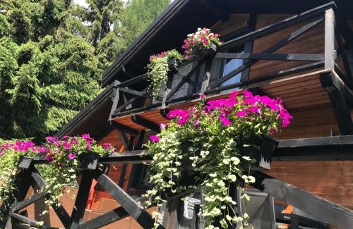 Jamnik Ski Chalet | Chalet Račkova dolina