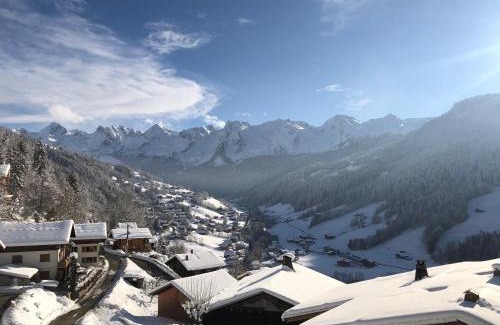 Le Grand-Bornand Ski Chalet | Chalet Soleya