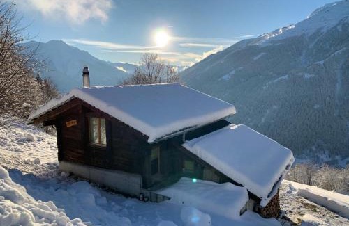 Bellwald House | Chalet Sträba
