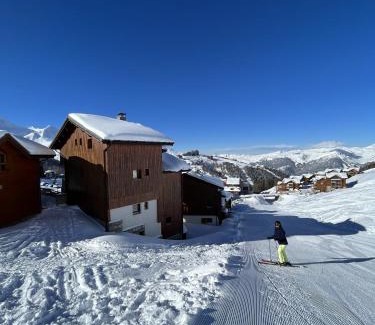 Plagne Soleil Ski Chalet | Chalet Topaz - 18 Couchages Sur les Pistes avec Services