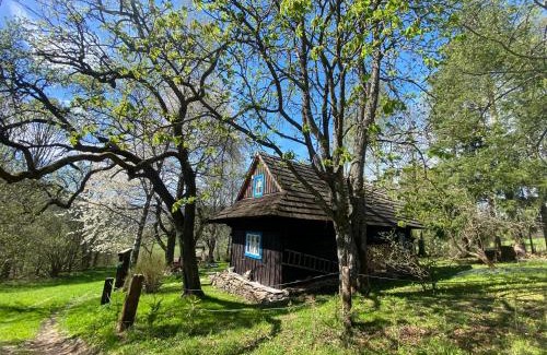 Terchova Ski Chalet | Chalupa na Samote