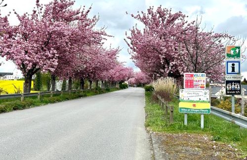 Cleguerec House | Chambre avec cuisine à la campagne au calme