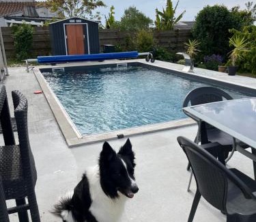 Yves Bed & Breakfast | Chambre avec vue sur le marais et la piscine