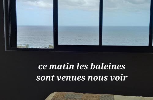 Grand Bois House | CHAMBRE CHEZ L HABITANT PISCINE VUE MER SDB et TERRASSE PRIVEE laverie