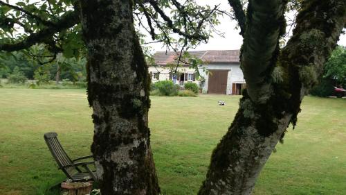 Planchez Bed & Breakfast | Chambre d'hôte Le Châtaignier
