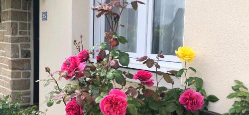 Sene Bed & Breakfast | Chambre d'hôte "Les Roses de Séné"