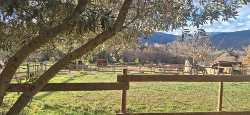 Los Masos Bed & Breakfast | Chambre d'hôtes Le Petit Ranch