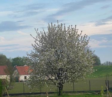 Mont-Saint-Eloi Bed & Breakfast | Chambre des Tours
