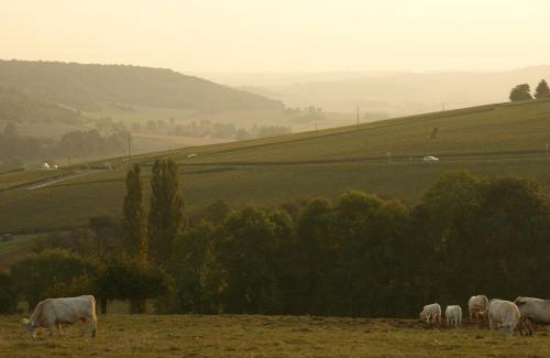 La Chapelle-Monthodon Bed & Breakfast | Chambres D'hotes & Champagne Douard