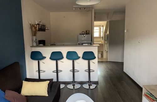 Vic-sur-Cere Apartment | Charmant appartement de 2 chambres a Vic-sur-Cere