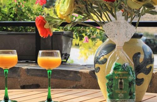 Lavaudieu House | Charmant Gîte à Lavaudieu avec Terrasse, Proche Sites Touristiques et Commerces - FR-1-582-219