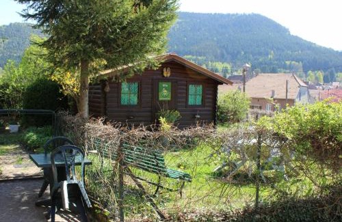 Bionville House | Charmant Gîte Vosgien avec Terrasse, Randonnées et Lacs, Proche Alsace et Col du Donon - FR-1-584-54