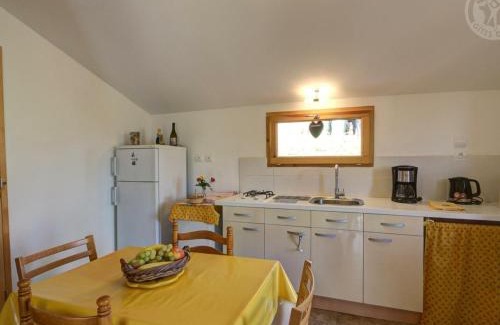 Saint-Marcel-de-Felines Apartment | Charmant gîte avec vue sur les monts du Forez, terrain privatif, proche chateau et bourg pittoresque ! - FR-1-496-173