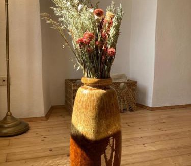 Steyrdorf Apartment | Charmante Altbauwohnung