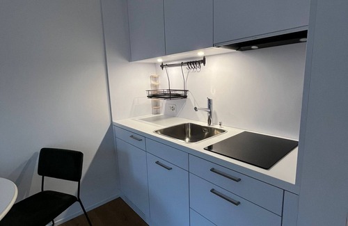 Sandrain Apartment | Charmantes Studio im Marzili Direkt Beim Bundeshaus