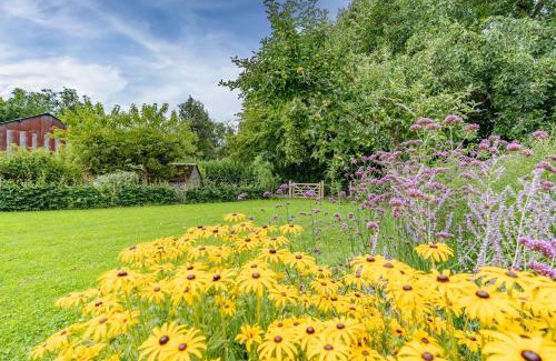 Nisramont House | Charmette, cozy home for 9p