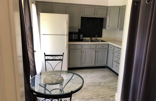 Nitro Apartment | Charming 1 bedroom near Charleston hospitals