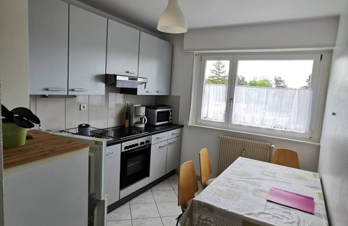 Mulhouse Apartment | Charming 1 room, kitchen, bathroom of 35 m2 in very quiet residence.