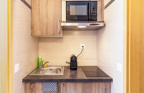 Downtown Geneva Apartment | Charming Apartment - AC 1br/4p - Geneve
