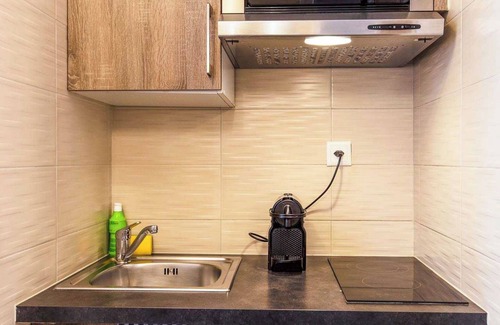 Downtown Geneva Apartment | Charming Apartment - AC 1br/4p - Geneve