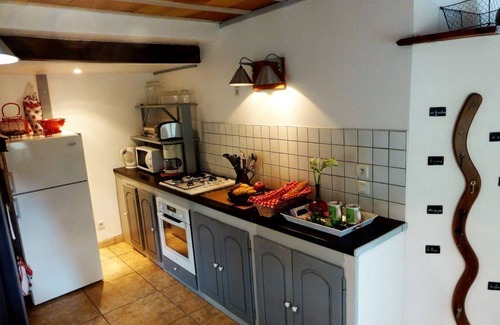 Vesseaux Apartment | Charming apartment in large XVII Mas, swimming pool and garden