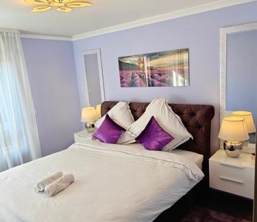 Saint-Louis Apartment | Charming apartment with Garden, Free Parking near Basel, Airport, Ger'many, France,