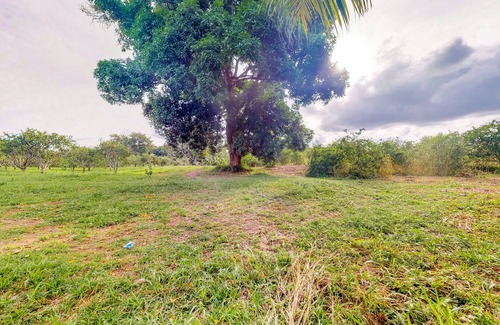 Dangriga Apartment | Charming Belize rental, tropical escape Dangriga, Belize cozy cabin