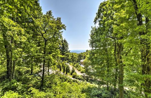 Little Switzerland House | Charming Blue Ridge Cottage with Stunning Views!