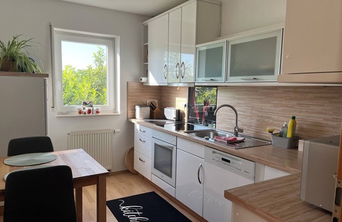 Mainz-Bingen Apartment | Charming, bright apartment with 3 bedrooms