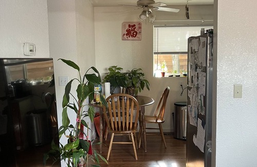 Reno Apartment | Charming, cozy apartment in Midtown Reno!